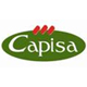 Capisa